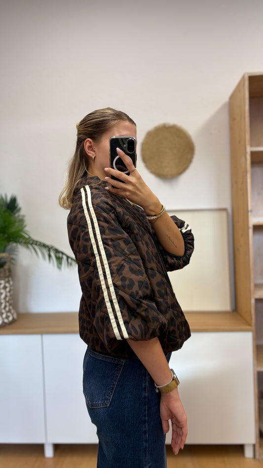 Leo Steppjacke mit Kontraststreifen